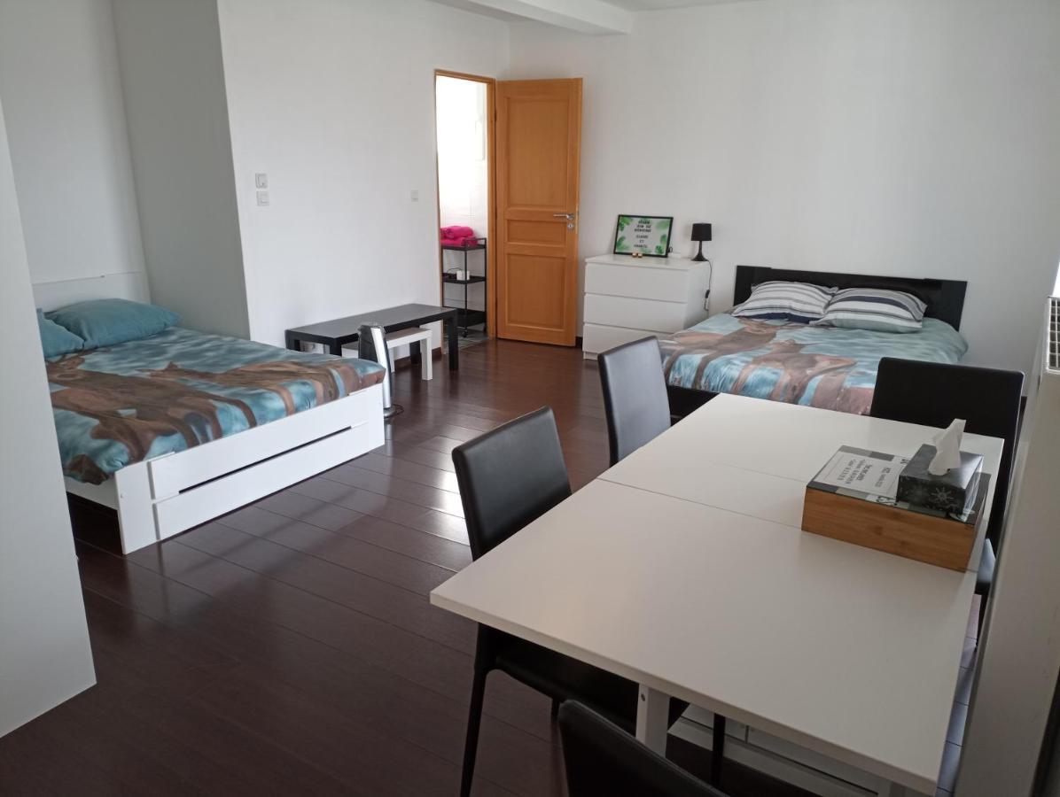 Studio Independant 40M² Avec Jardin Prive Hauteville-Lompnes Exteriör bild